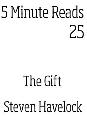 Cover of the book The Gift by Steven Havelock