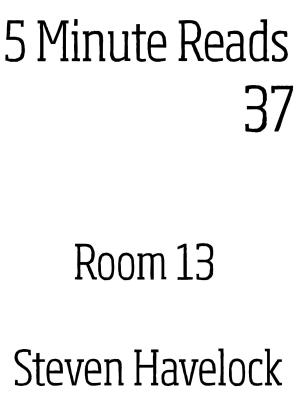 Book cover of Room 13