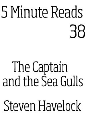 Cover of the book The Captain and the Sea Gulls by Ricardo Alexanders