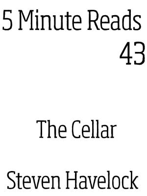 Cover of the book The Cellar by Steven Havelock