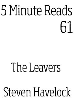 Cover of the book The Leavers by Anne-Rae Vasquez