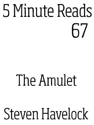 Cover of the book The Amulet by Deirdre Gould