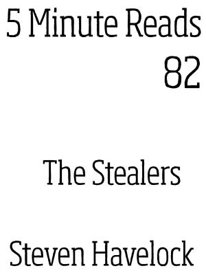 bigCover of the book The Stealers by 