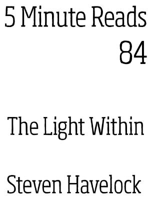 Book cover of The Light Within