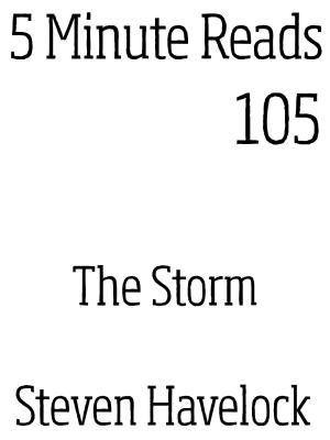 Cover of the book The Storm by Steven Havelock