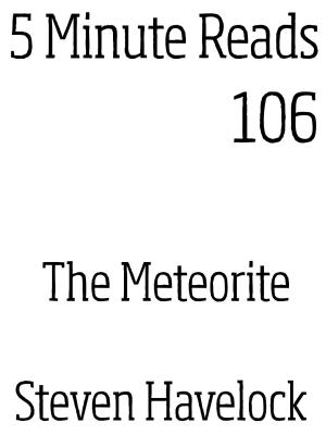Book cover of The Meteorite
