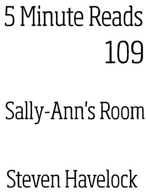 Book cover of Sally-Ann's Room