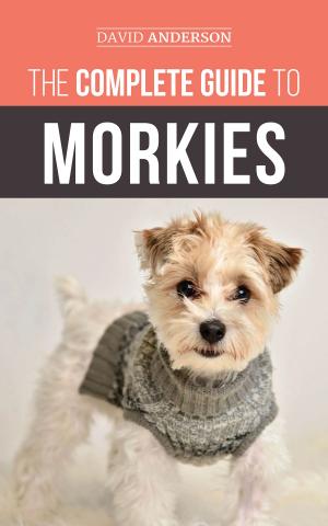 Book cover of The Complete Guide to Morkies
