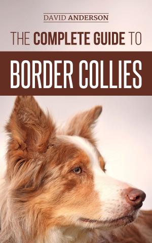Book cover of The Complete Guide to Border Collies
