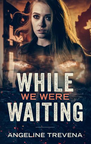 Cover of the book While We Were Waiting by Eric Magliozzi