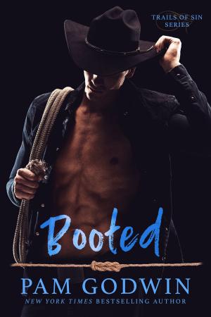 Cover of the book Booted by Lisa Prysock