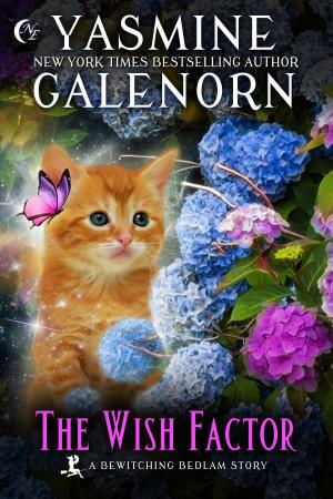 Cover of the book The Wish Factor by Yasmine Galenorn