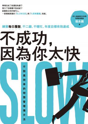 Cover of the book 不成功，因為你太快：練習每日覆盤，不二錯、不瞎忙、年度目標有效達成 by Andrew D. Ive