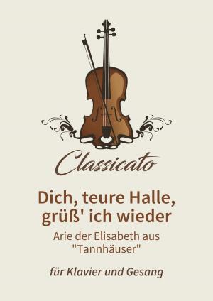 Cover of the book Dich, teure Halle, grüß' ich wieder by Lars Opfermann, Georg Friedrich Händel