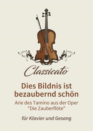 Cover of the book Dies Bildnis ist bezaubernd schön by Lars Opfermann, Georg Friedrich Händel