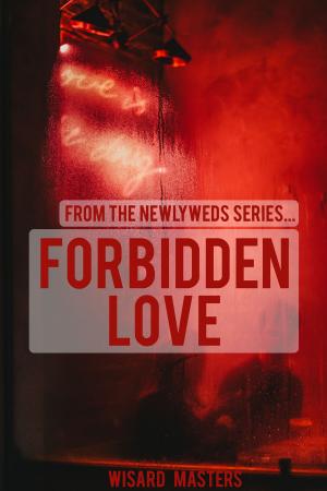 Cover of the book Forbidden Love by Catherine Banks