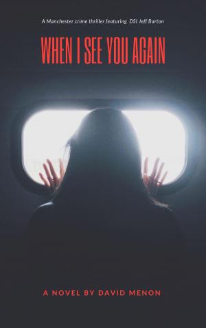 Book cover of When I See You Again
