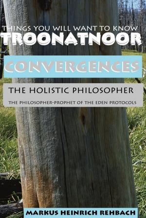 Cover of the book Convergences by Clarissa Sophia Von Der Golz