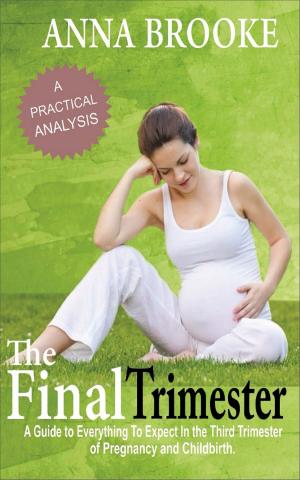 bigCover of the book The Final Trimester by 