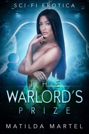 Cover of the book The Warlord’s Prize by Fabienne Dubois