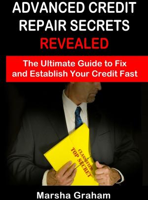 bigCover of the book Advanced Credit Repair by 