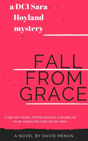 Cover of the book Fall from Grace by David Menon
