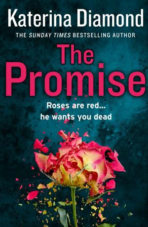 Cover of the book The Promise by Francis Pryor