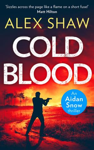 Cover of the book Cold Blood (An Aidan Snow SAS Thriller, Book 1) by Caroline Church