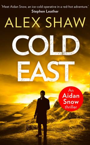 Cover of the book Cold East (An Aidan Snow SAS Thriller, Book 3) by Rachel Burton