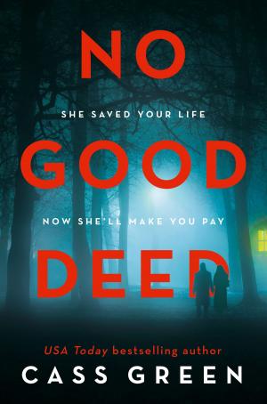 Cover of the book No Good Deed by K.J. Rivera