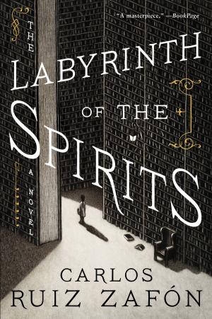 Cover of the book The Labyrinth of the Spirits by E. T. A. Hoffmann