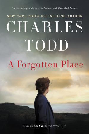 Cover of the book A Forgotten Place by S. Y. Robins