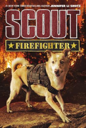 Cover of the book Scout: Firefighter by Jackie French