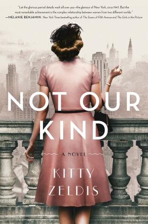 Cover of the book Not Our Kind by Attica Locke