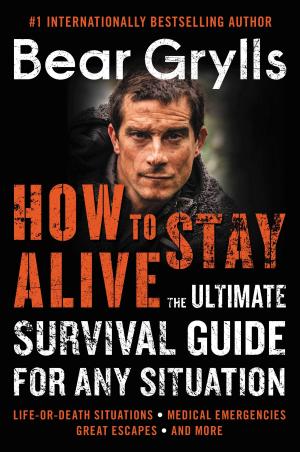 Cover of the book How to Stay Alive by Christopher Moore