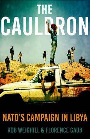 Cover of the book The Cauldron by Lawrence E. Susskind, Saleem H. Ali