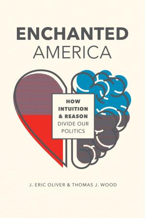 Book cover of Enchanted America