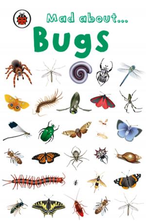Cover of the book Mad About Bugs by Kerryann Dunlop