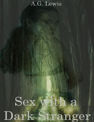Cover of the book Sex With a Dark Stranger by Alireza Boroumand