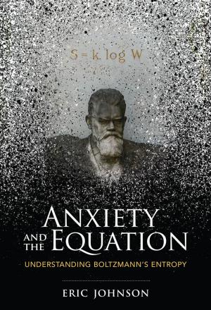 Book cover of Anxiety and the Equation