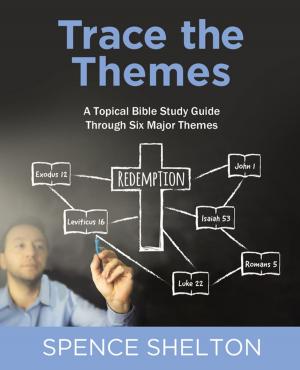 Cover of the book Trace the Themes, eBook by Marv Penner