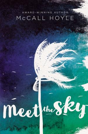 Cover of the book Meet the Sky by M. S. Holm