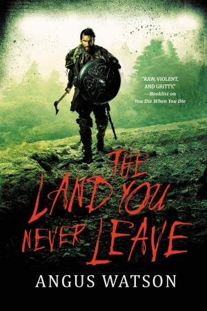 Cover of the book The Land You Never Leave by JR Simons