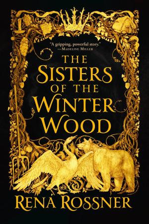 Book cover of The Sisters of the Winter Wood