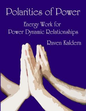 Cover of the book Polarities of Power: Energy Work for Power Dynamic Relationships by John Derek