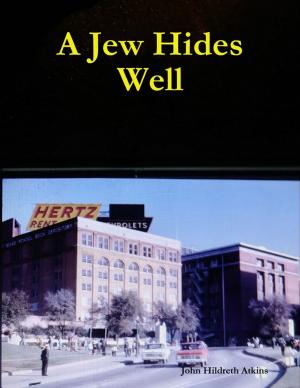 Cover of the book A Jew Hides Well by Daniel Blue