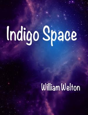 Cover of the book Indigo Space by Michael Fitzalan