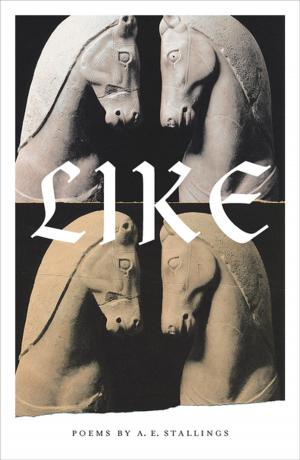 Cover of the book Like by Christian Kracht