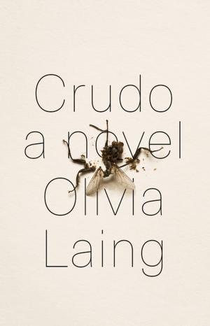 Cover of the book Crudo: A Novel by Tony Fletcher