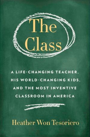 Cover of the book The Class by Terry Brooks
